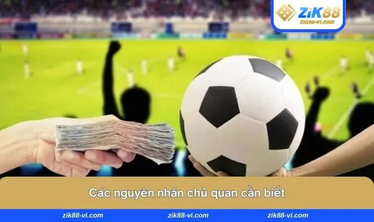 cac nguyen nhan chu quan can biet Các nguyên nhân chủ quan cần biết