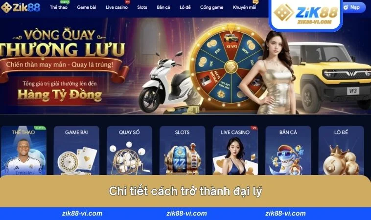 dai ly zik88 3 Người chơi cần nắm bắt về điều khoản, điều kiện