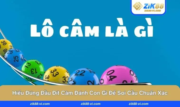dau dit cam danh con gi 1 Biểu đồ lô đề - Quy luật ẩn sau những con số